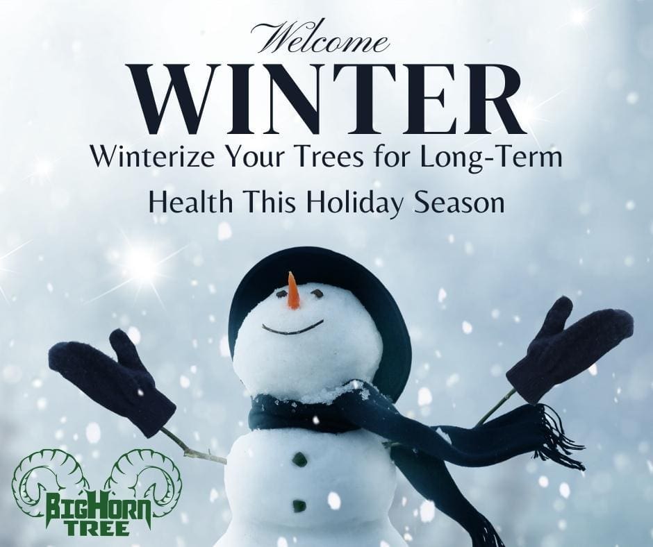 As Thanksgiving marks the official start of the colder months, it’s crucial to prepare your trees for winter. Proper tree care before the first frost can prevent damage and ensure that your trees remain healthy and vibrant through the winter and into the new year.